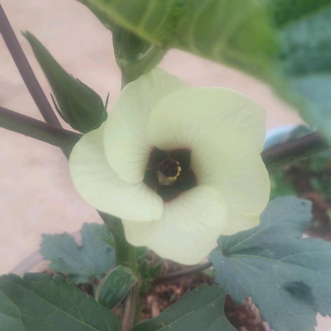 生活 $ 一半烟火 @ 一半清欢