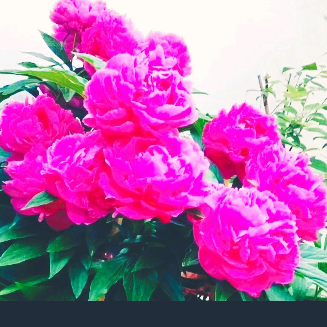 水是冰的眼泪《谢绝私聊》