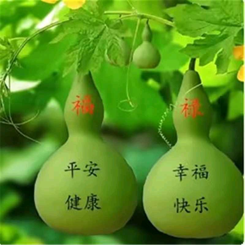 好德百货