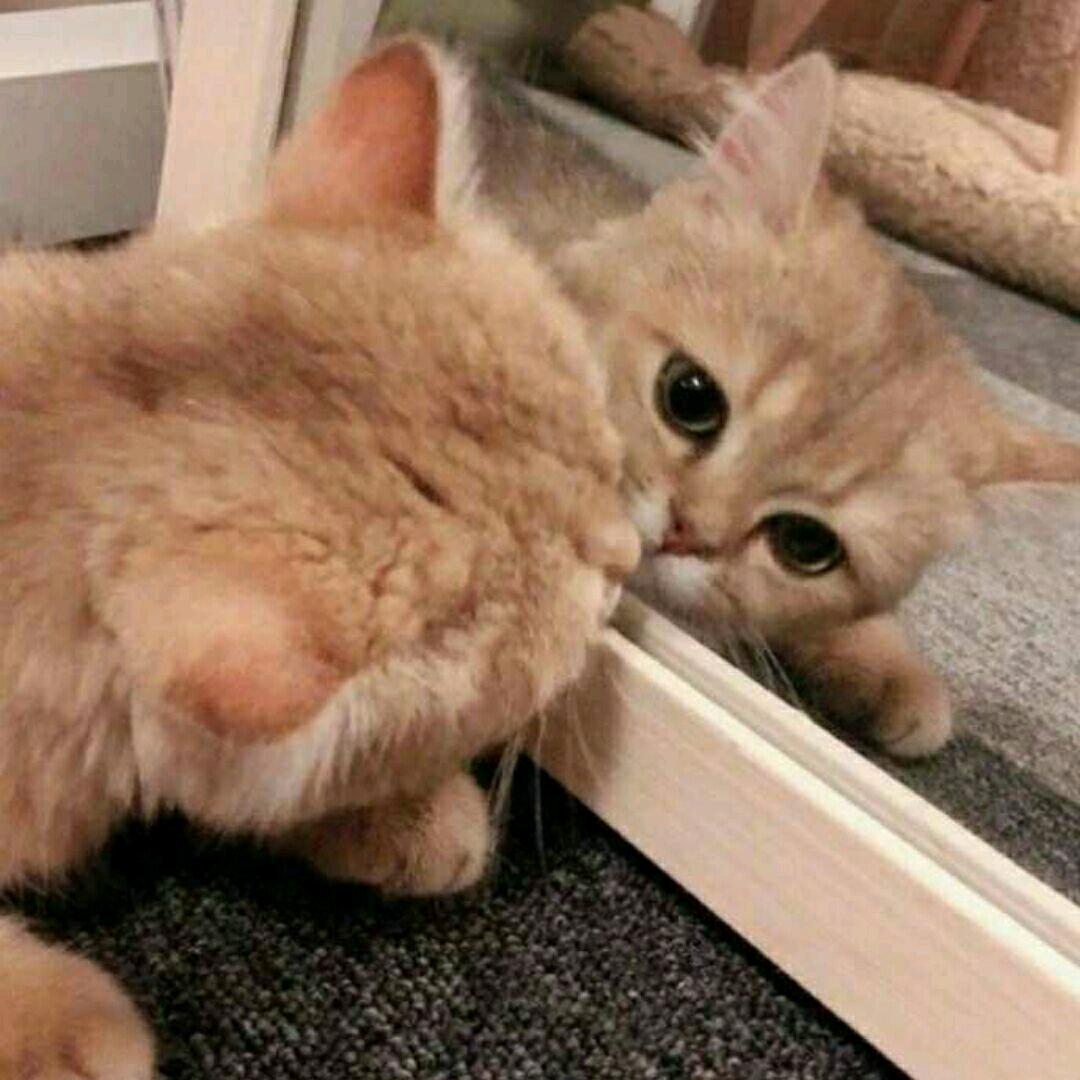 ิ水墨清云ิ