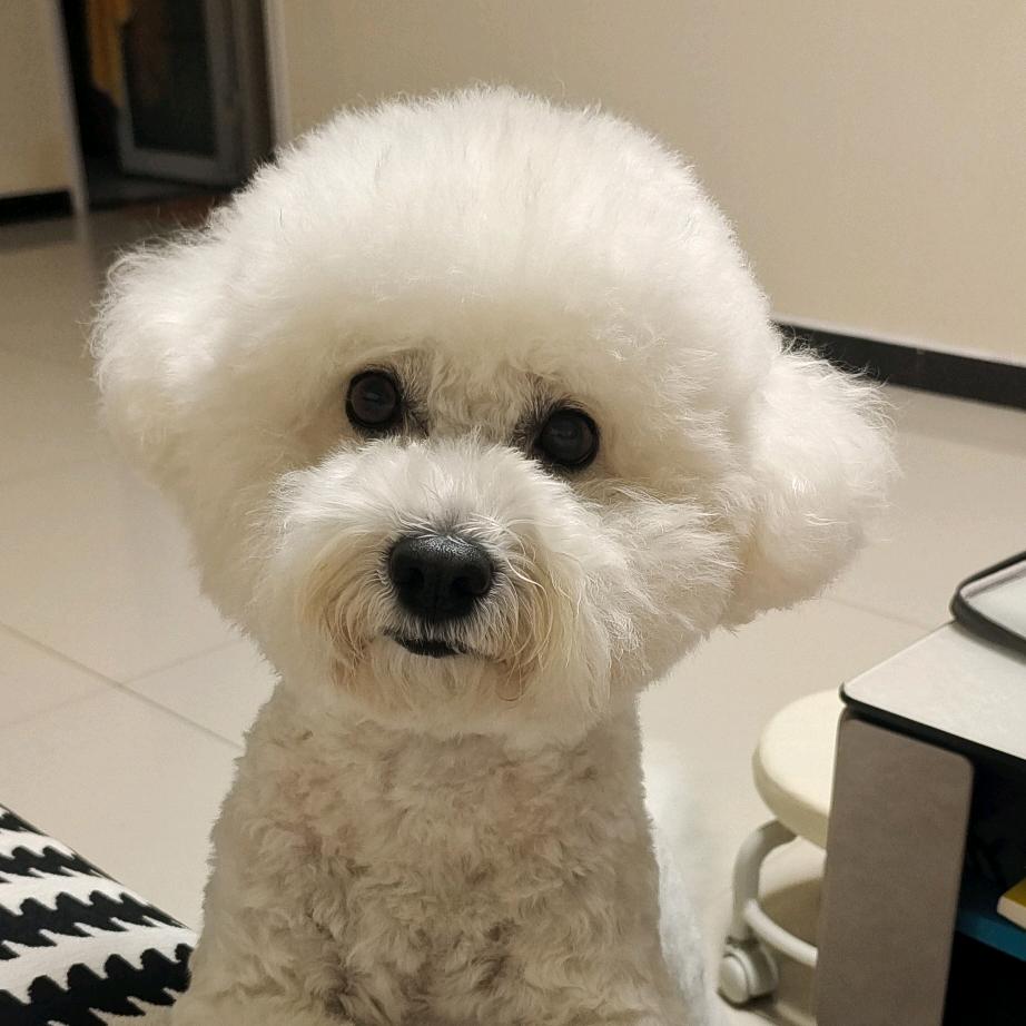 发糕的淡定生活