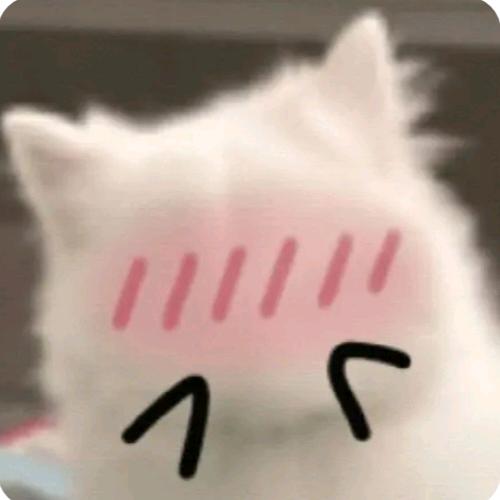 小星河的凤姐/.💞