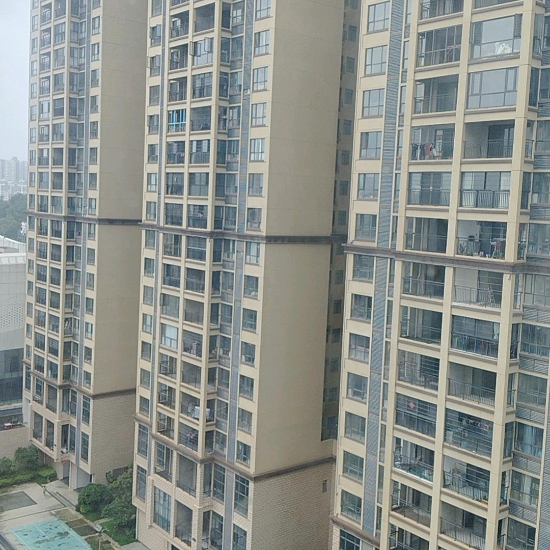 广西人在广州专业做钢结构工程厂房