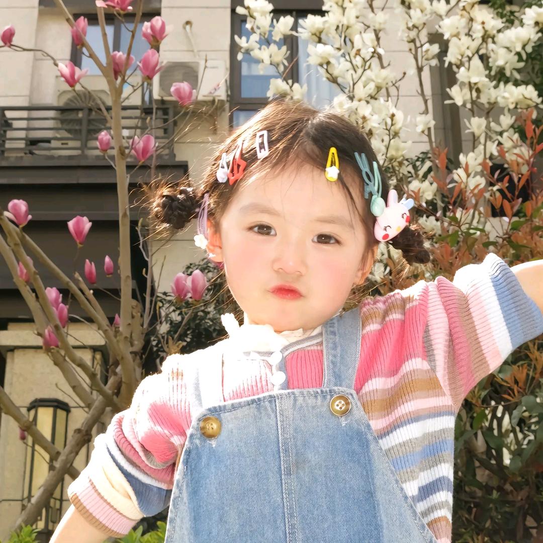 红烧小排_