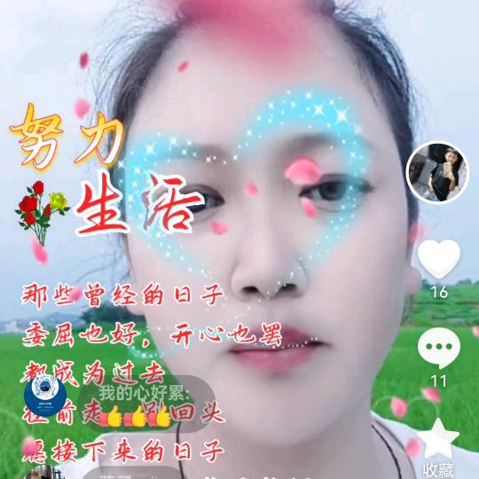 过好每一天