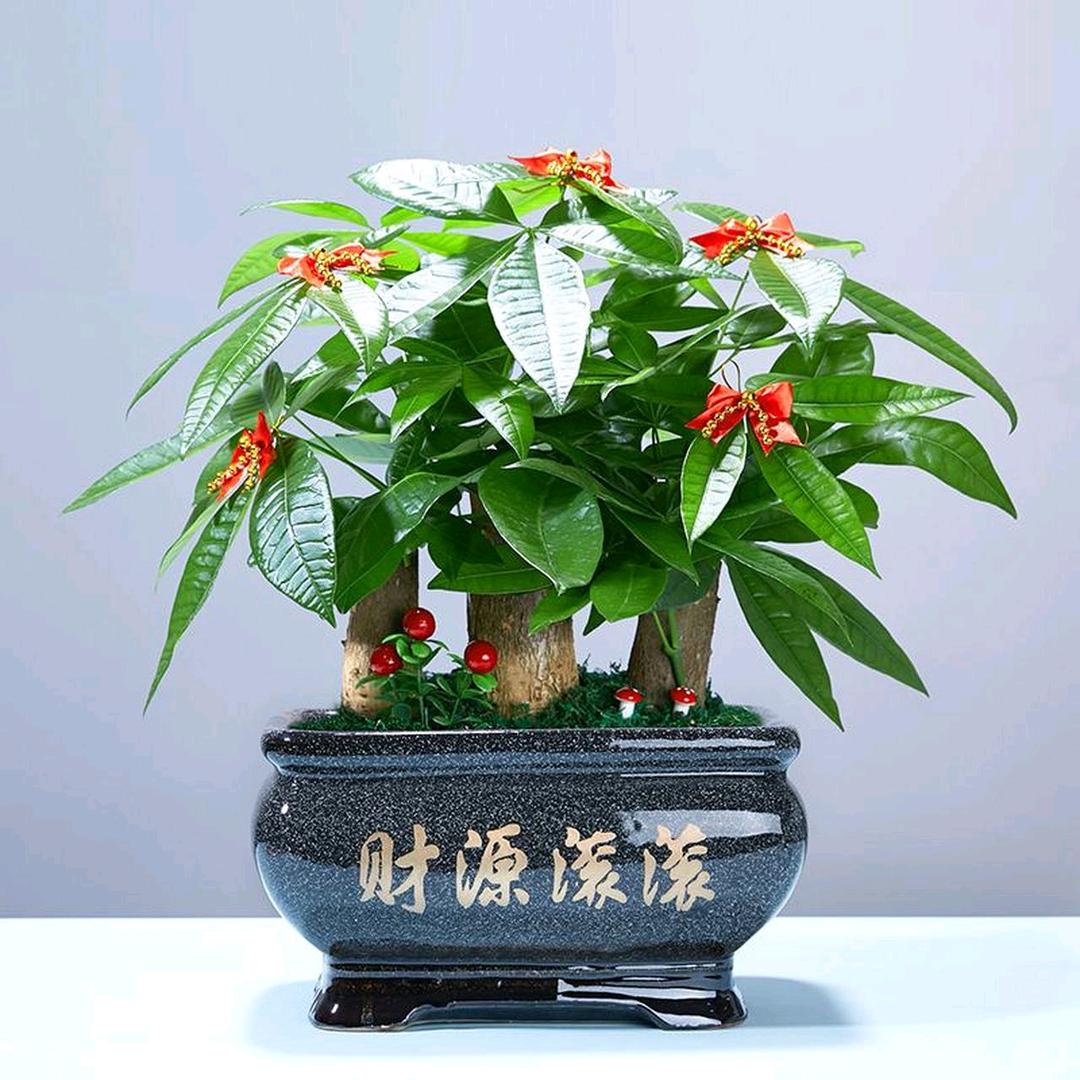 每日好物推荐