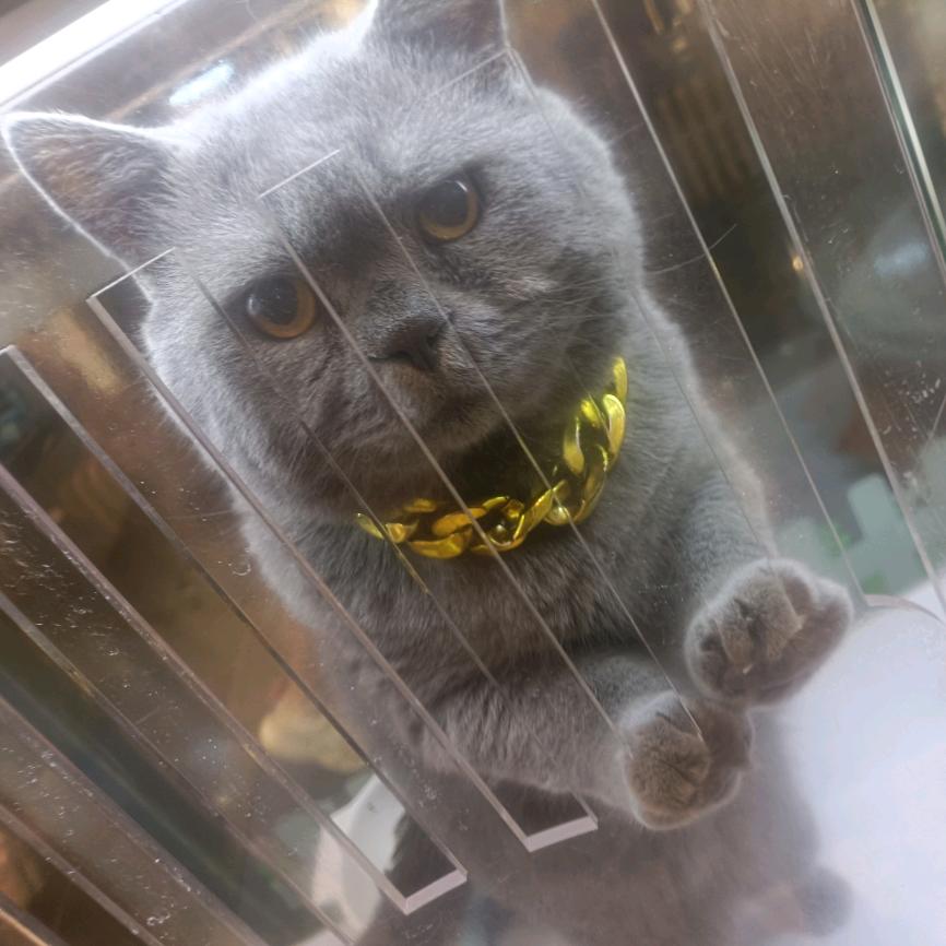 跟自己约定的三年