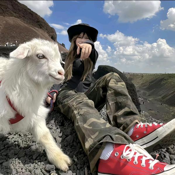 铮.
