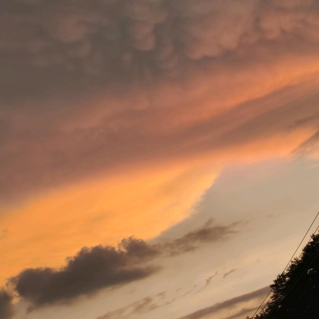 এ᭄T ོAꦿNG࿐