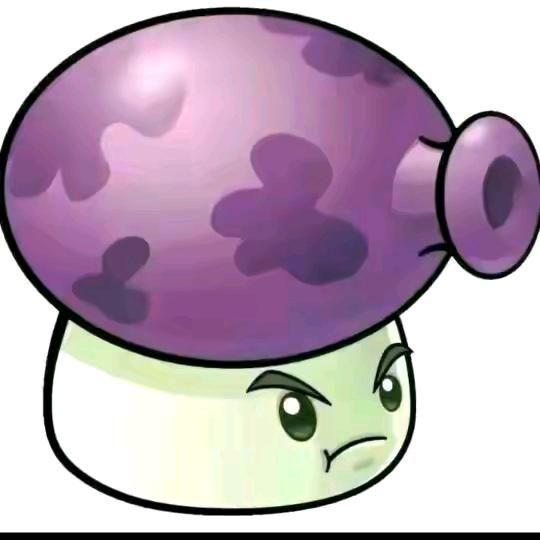 🟣🟣 🟣🟣 🟣🟣🟣
