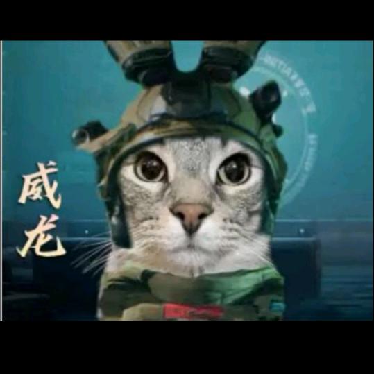 最菜但最帅（三角洲行动）