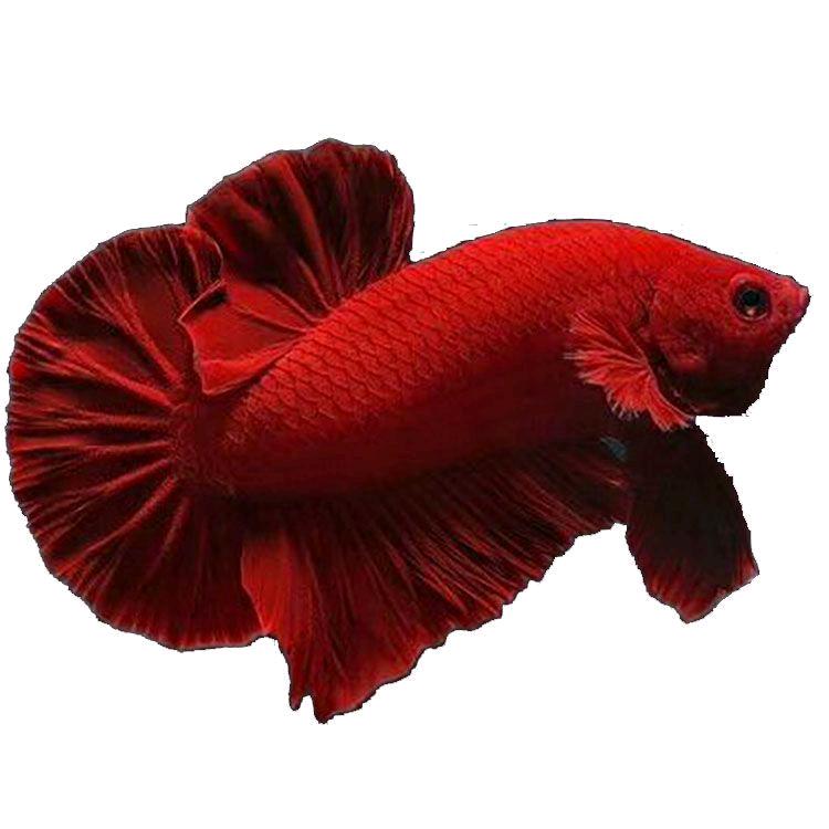 源源水族馆