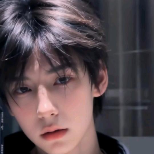 小白爱睡觉