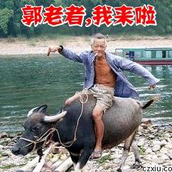 枕不拢