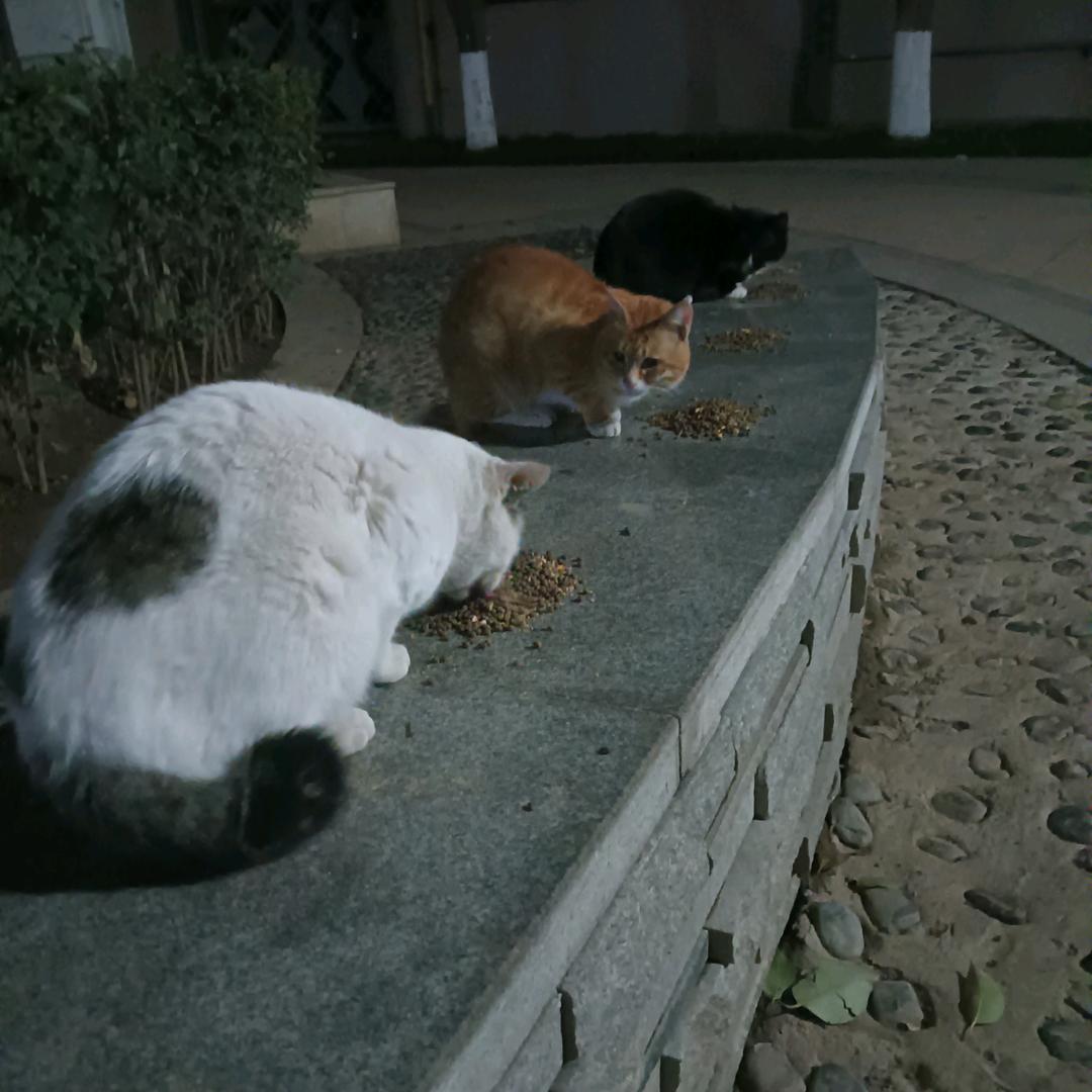 杰