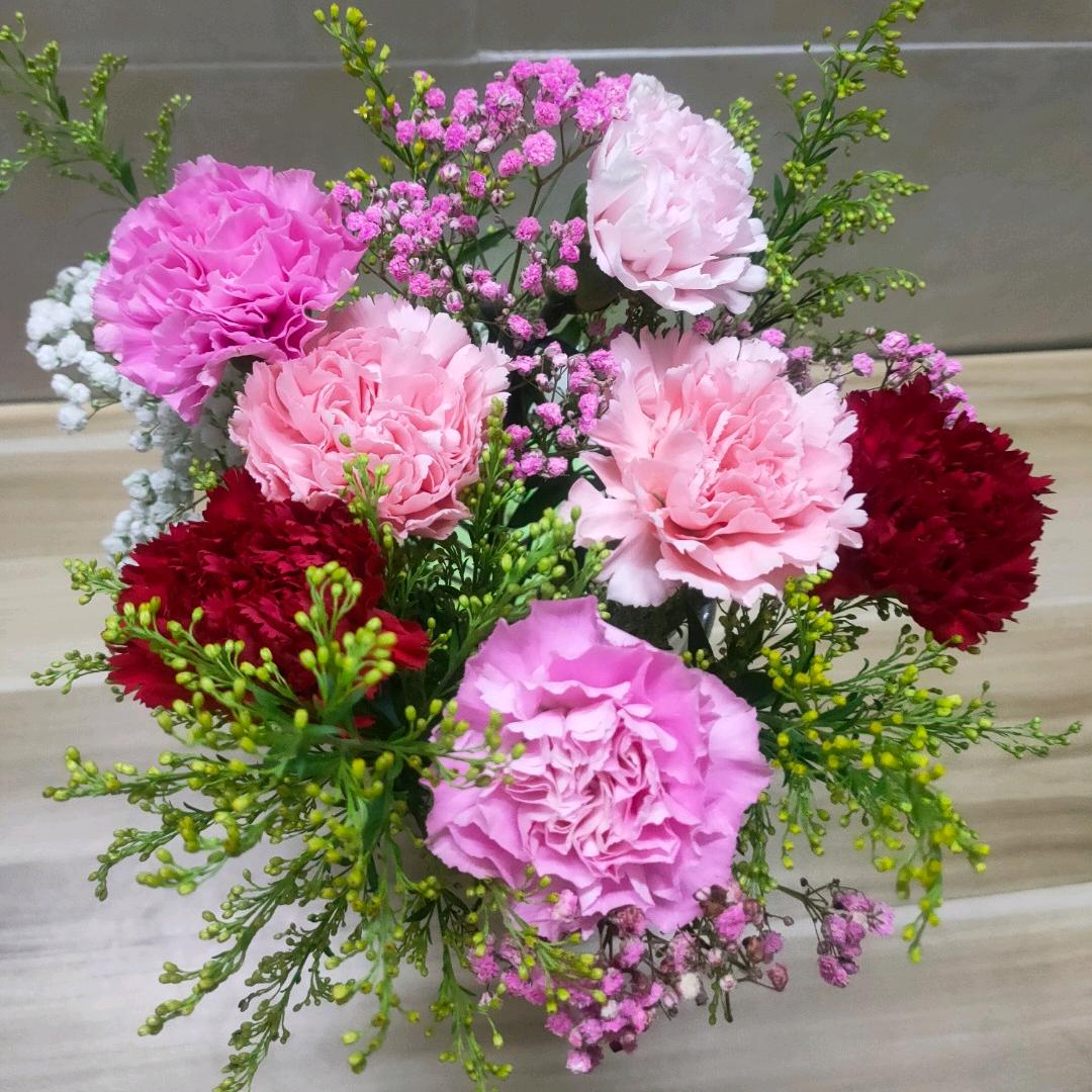 💍蝶恋花💐💐