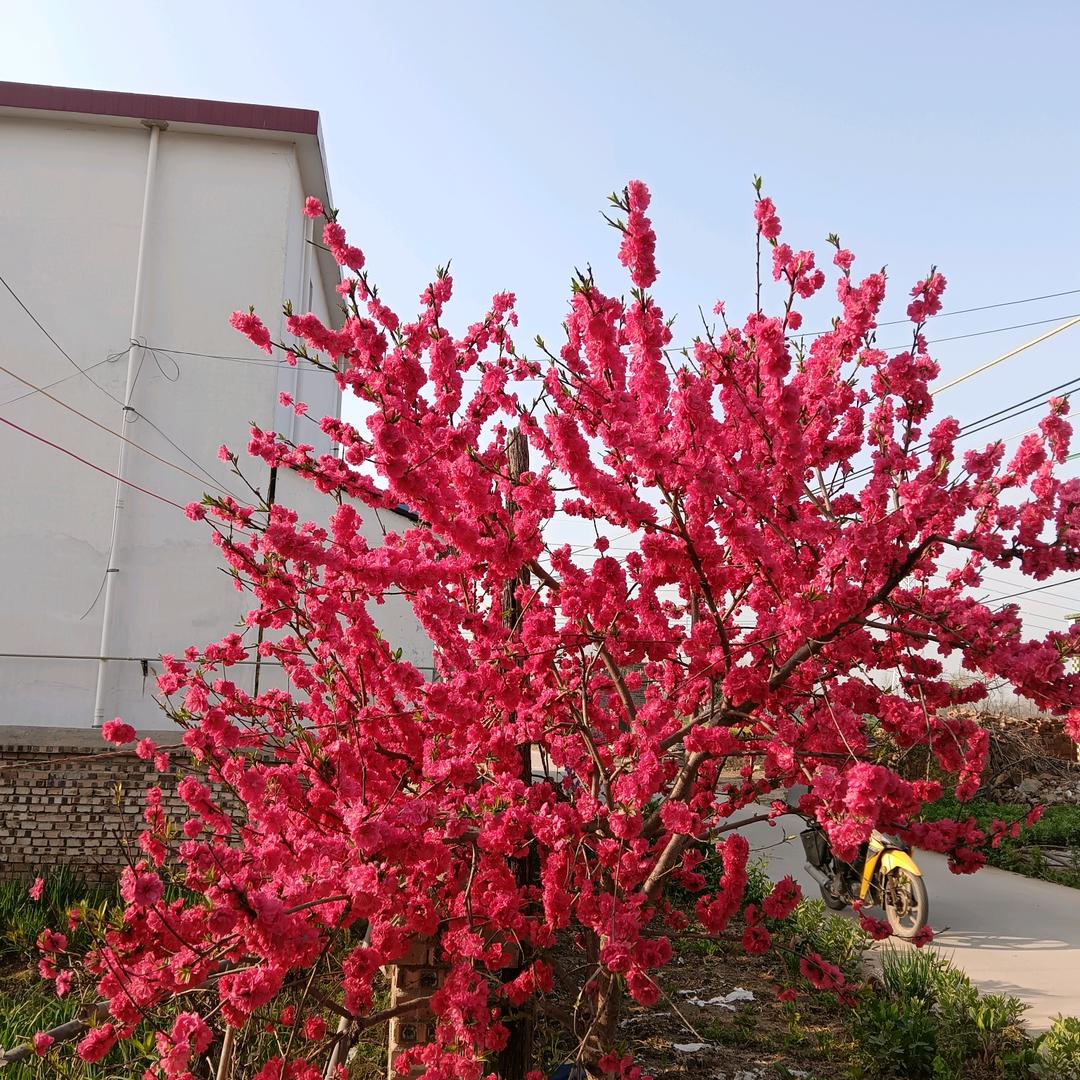 ？。。有你真好