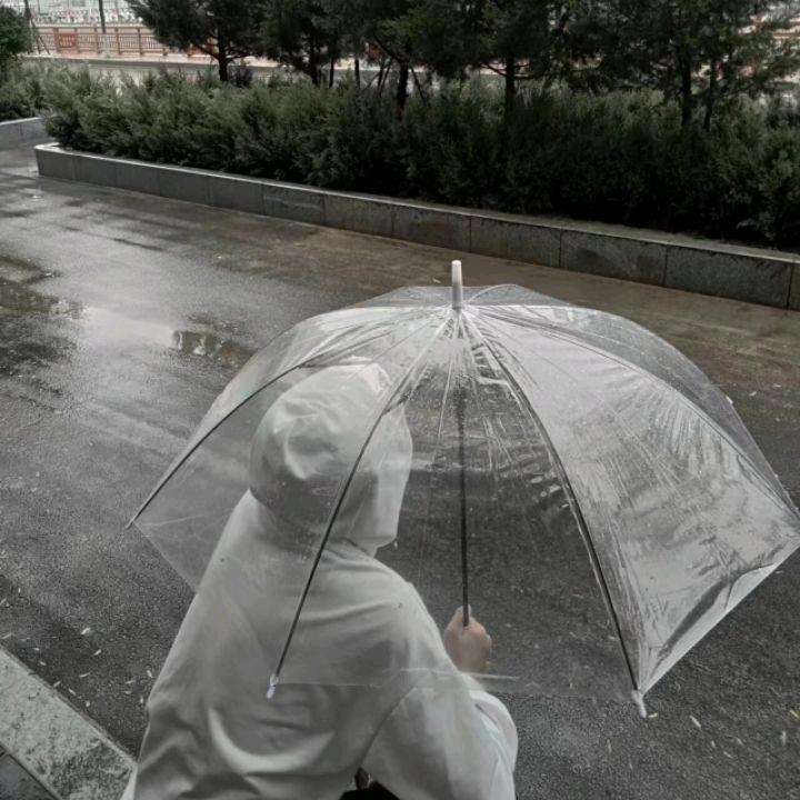 佩奇.