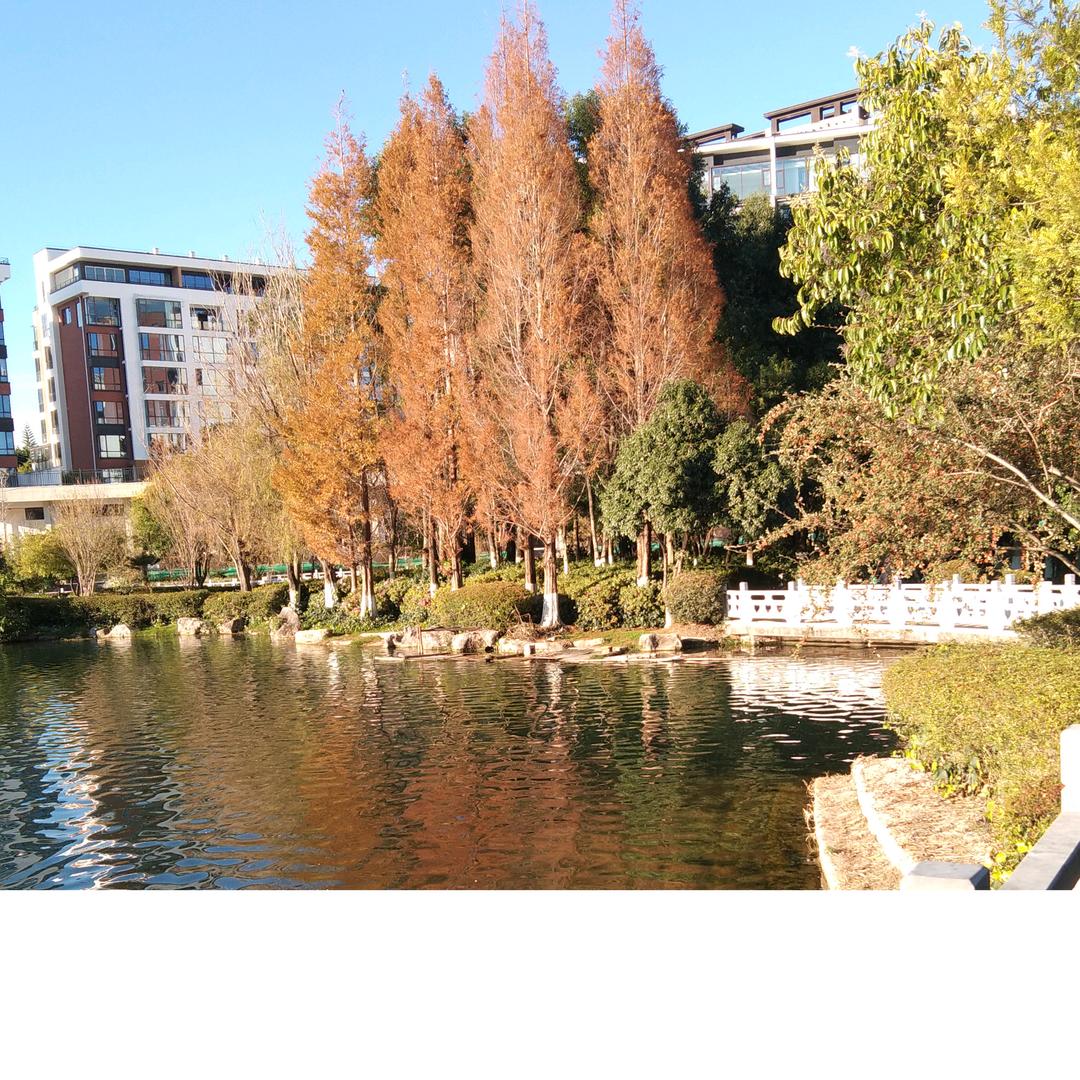 💕千山暮雪💞