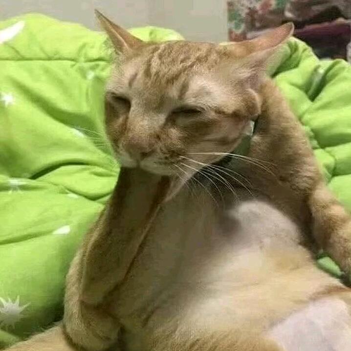 嘻嘻公主