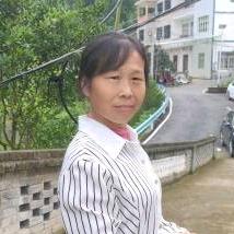 志群