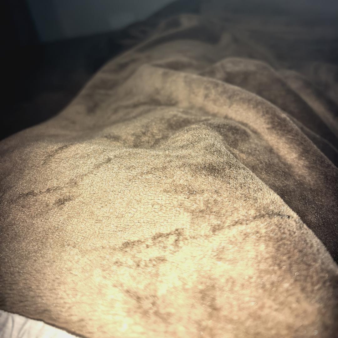 用户2818282828288282