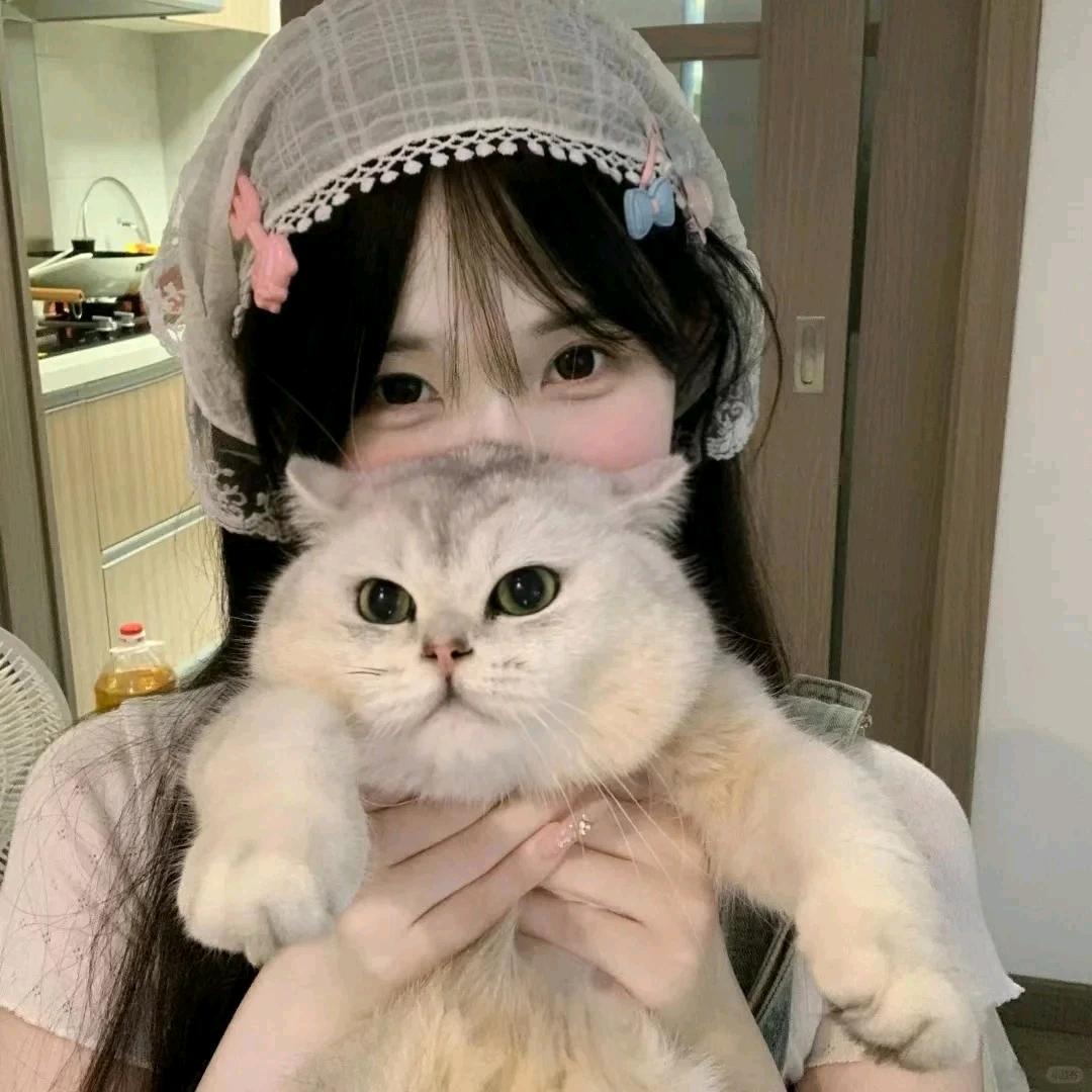 懒懒发财记