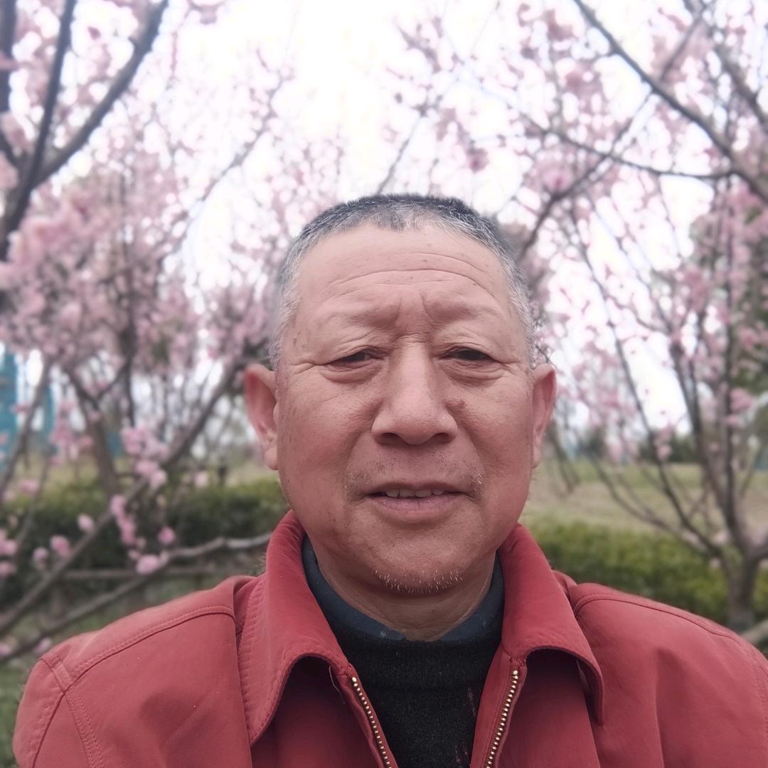 陆东文:安徽凤阳