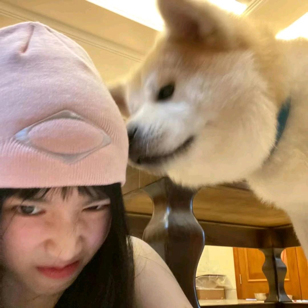 見