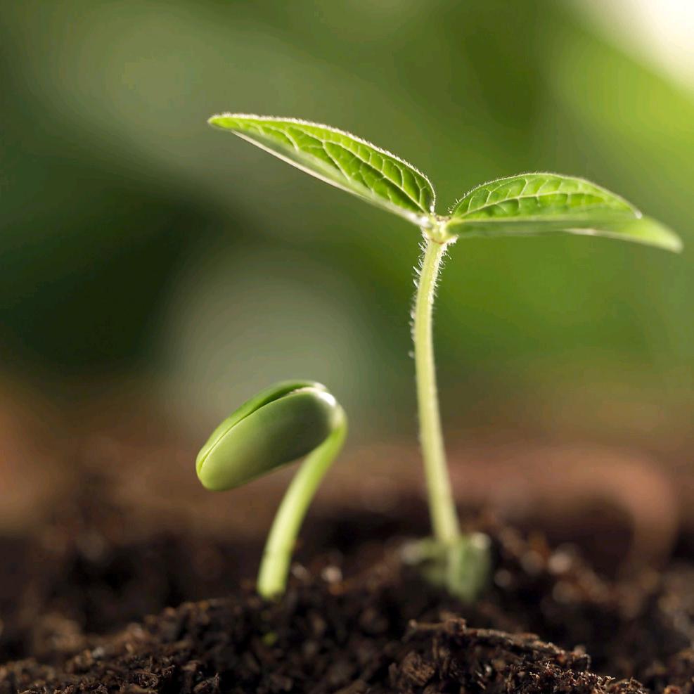 为人民服务的农村娃