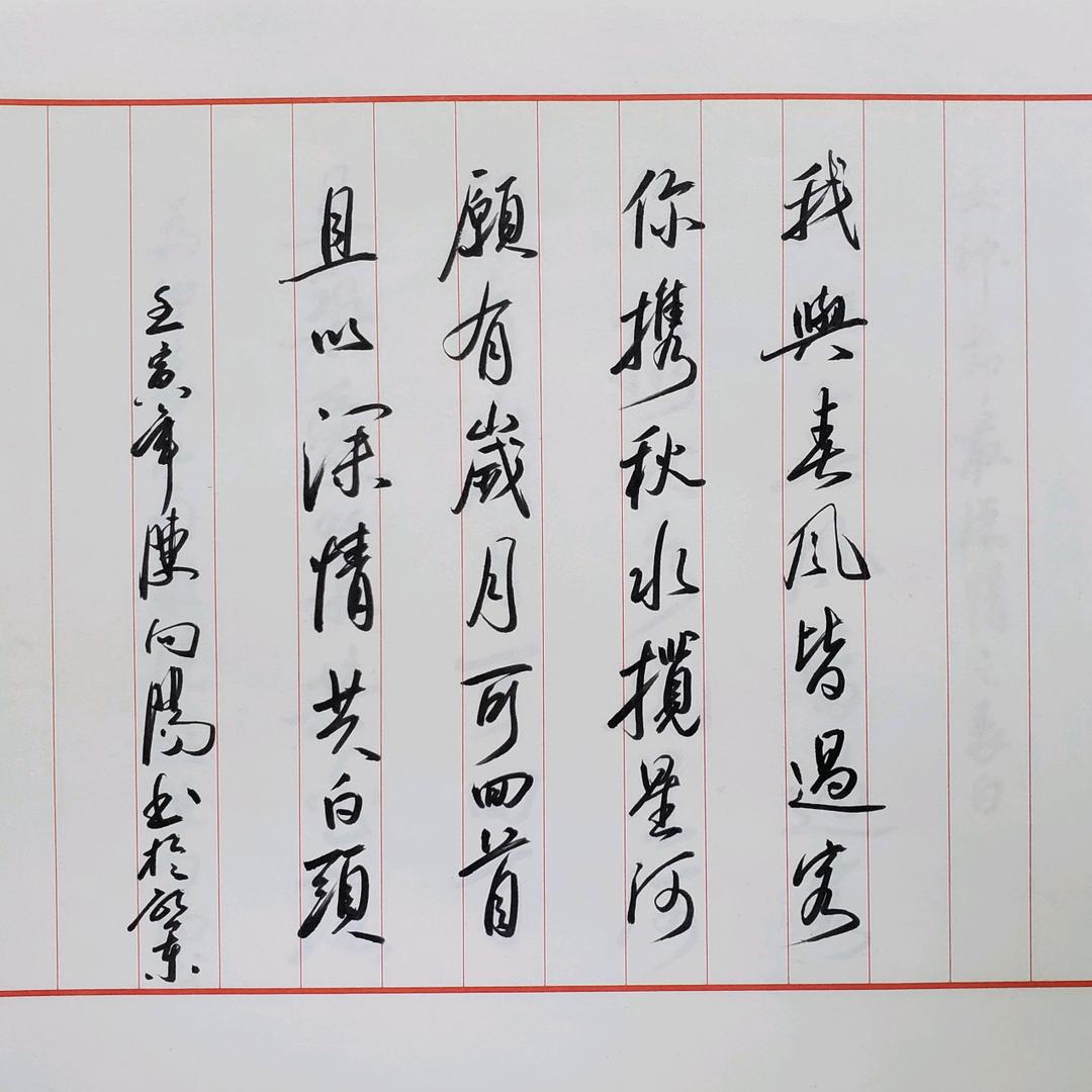 心向阳光