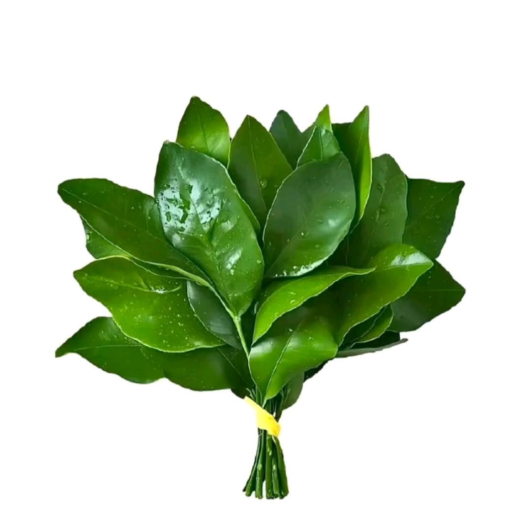 悲伤GG爆.