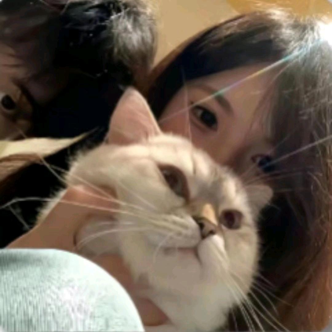 小乖睡觉吧