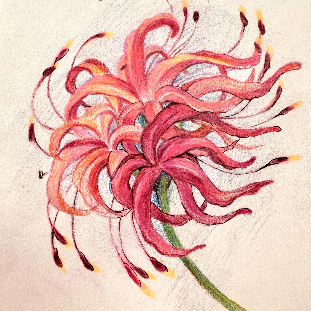 南有花痴