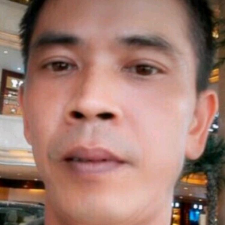 偏偏想起你