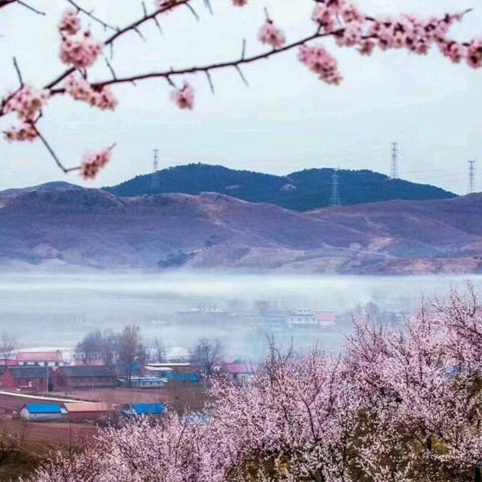 晟泰庄园