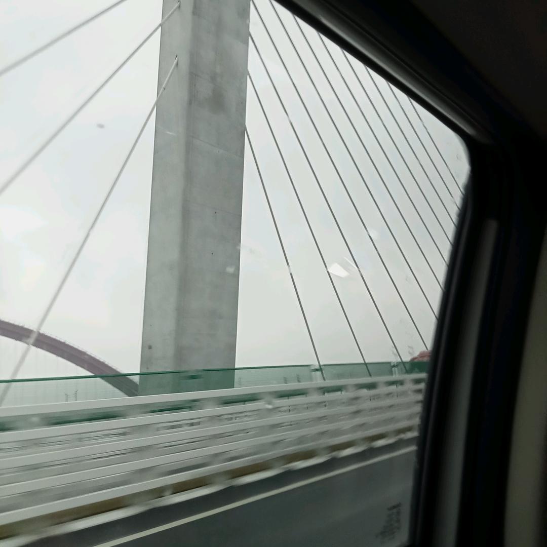 顺其自然