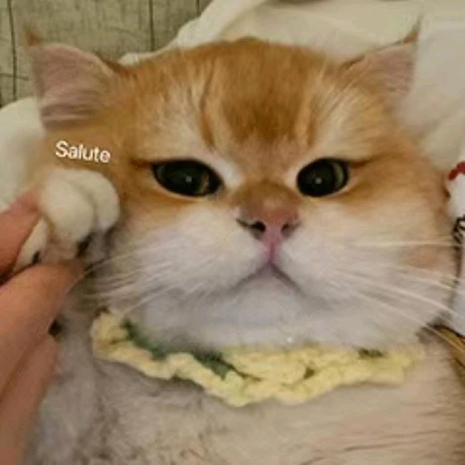 安生@