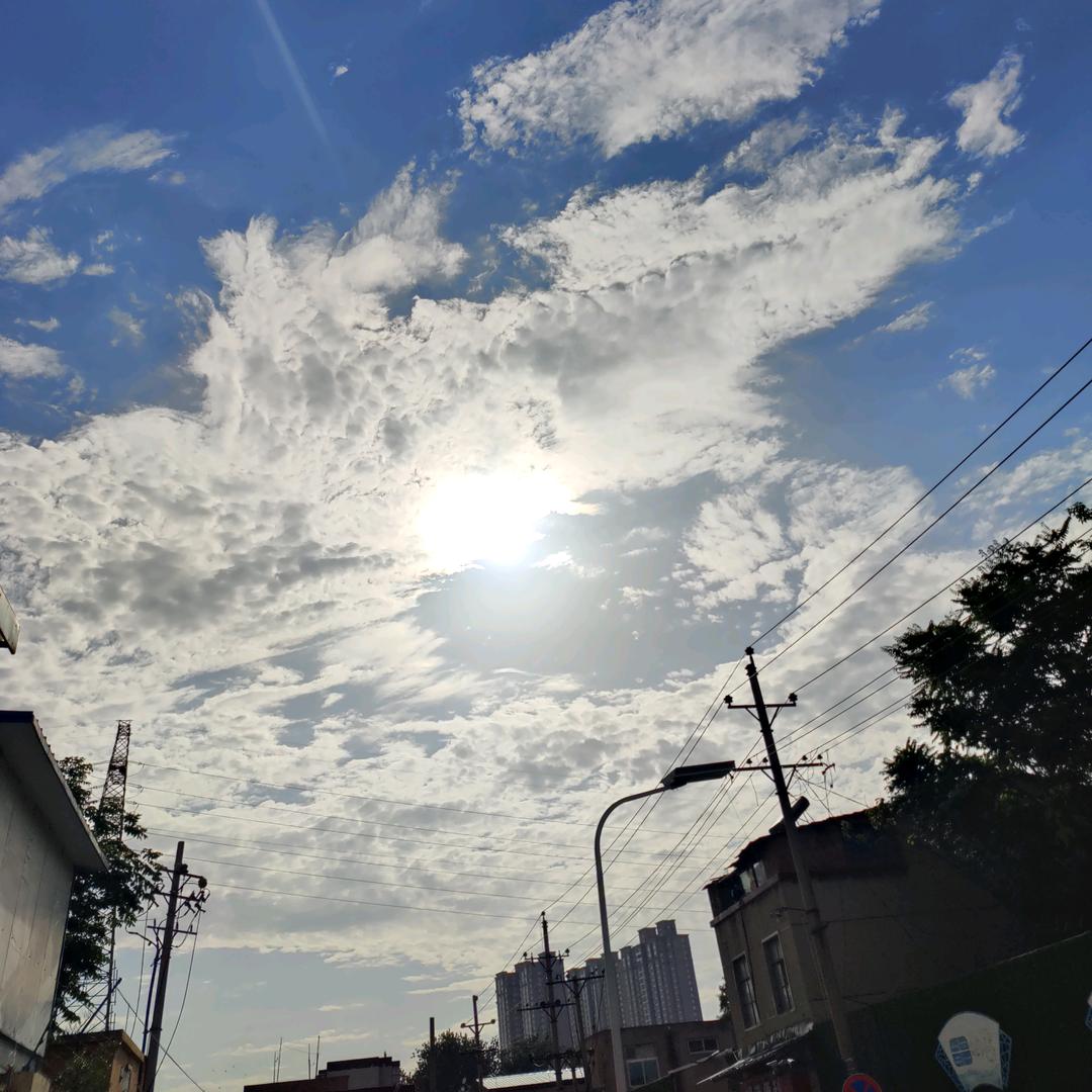 底片头像