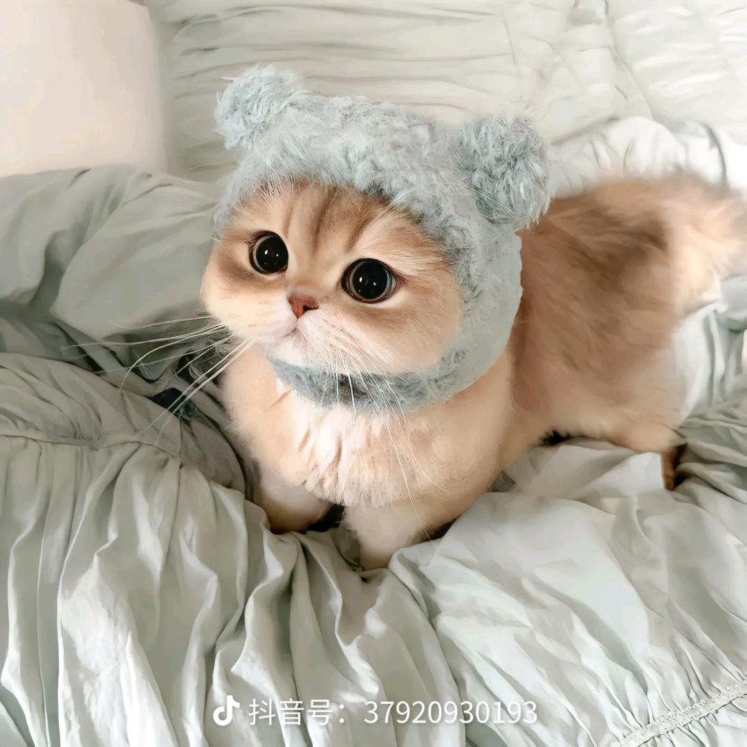 👁️👄👁️（剪洁玲）