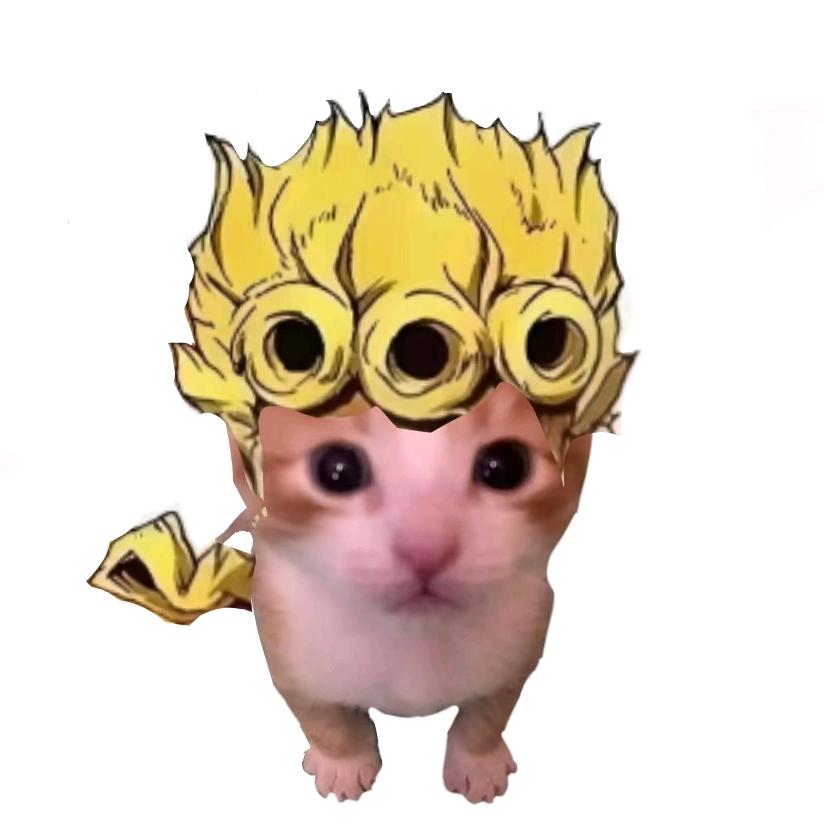 R0ng.