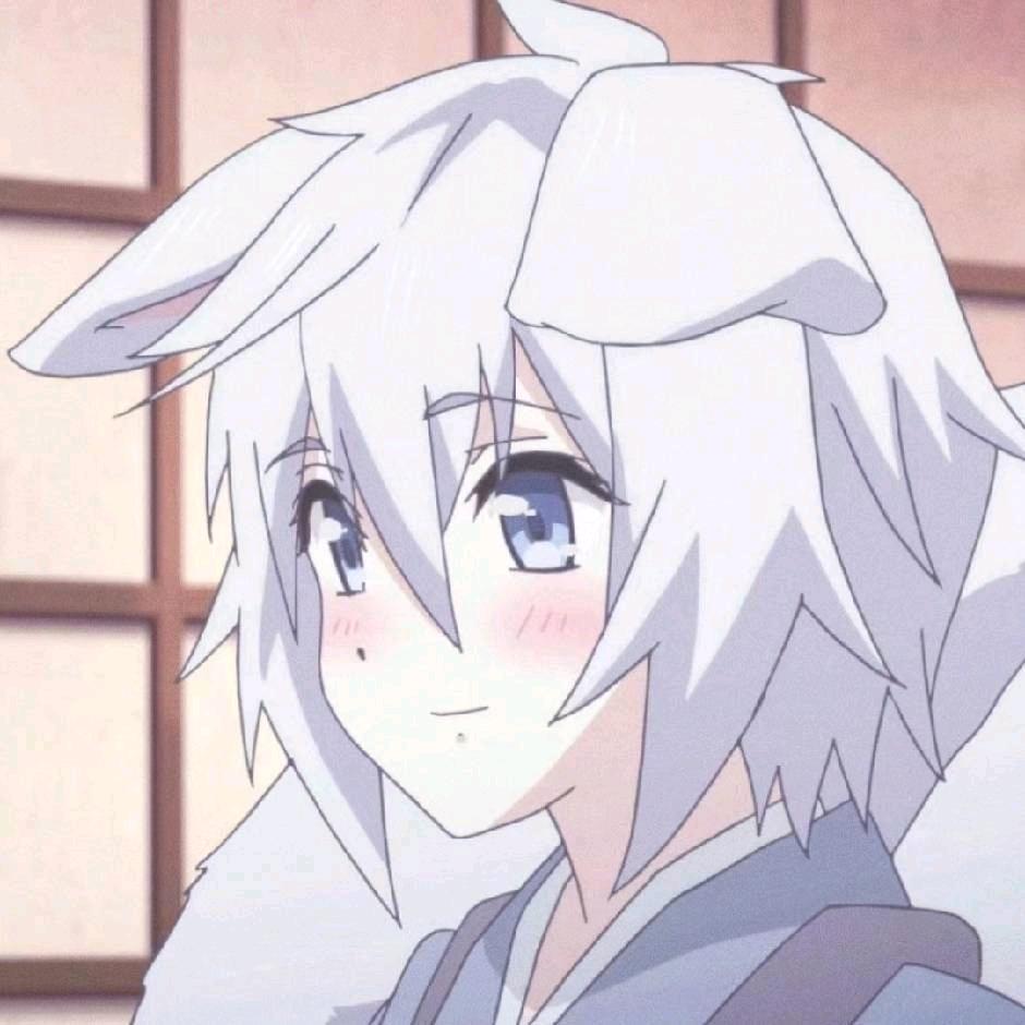 ace狐狸