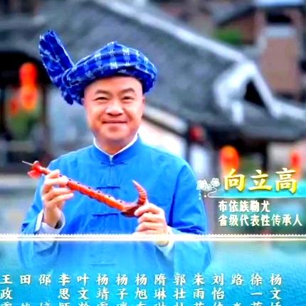 向立高（勒尤人）布依非遗传承人
