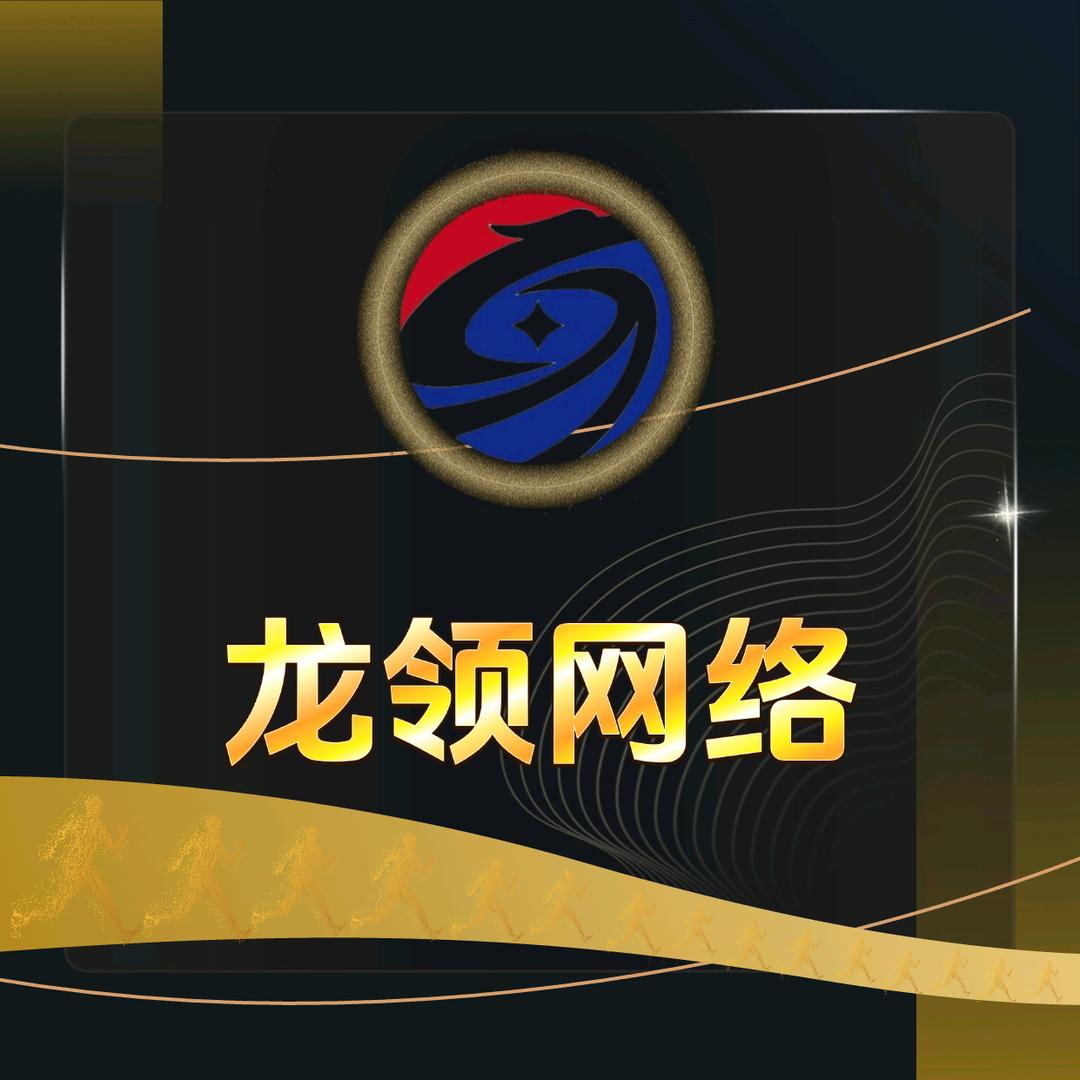 龙领网络【专业版】