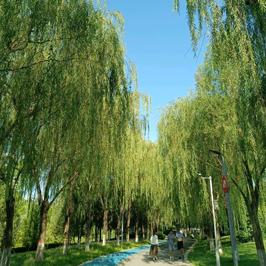 盾与矛