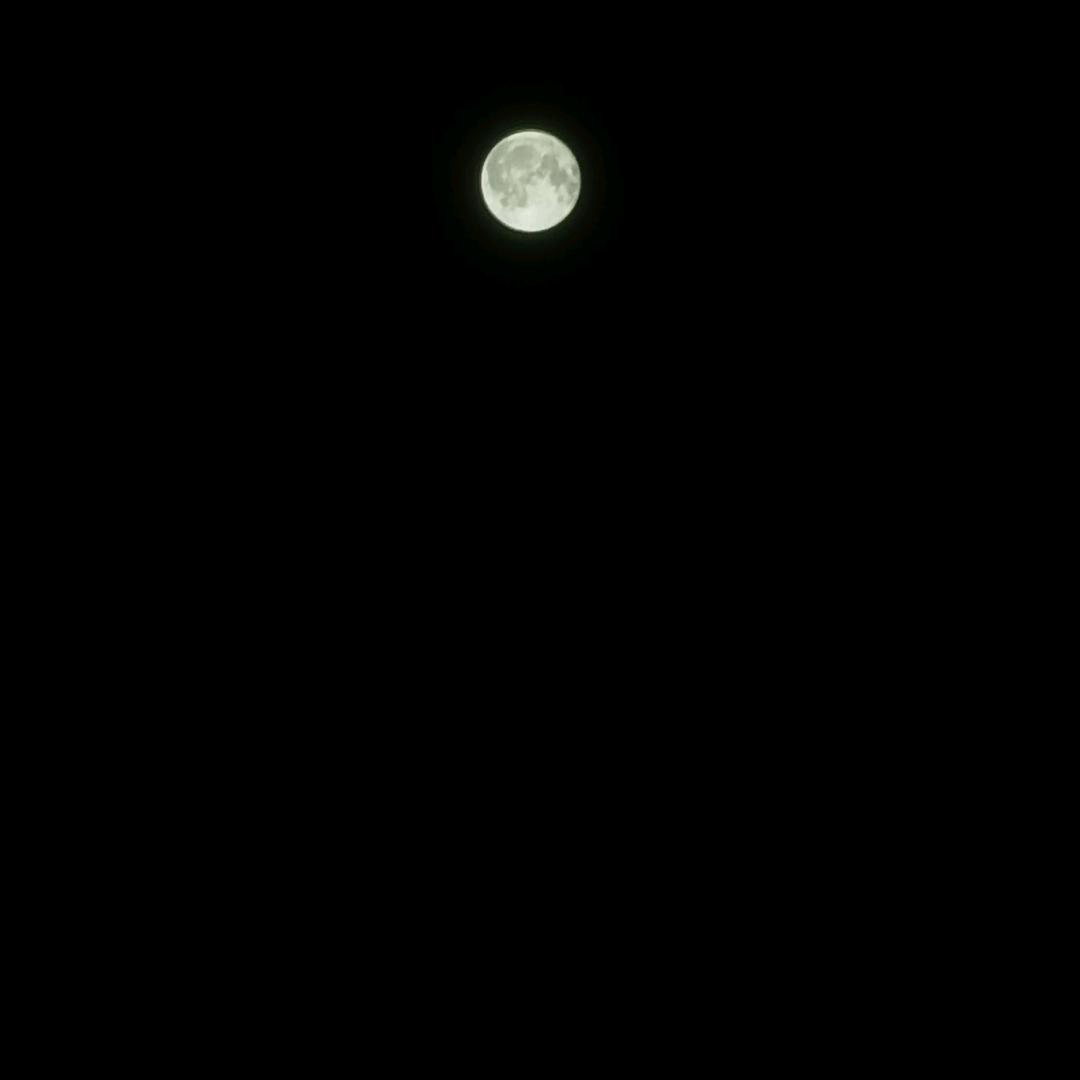 🌙🌙