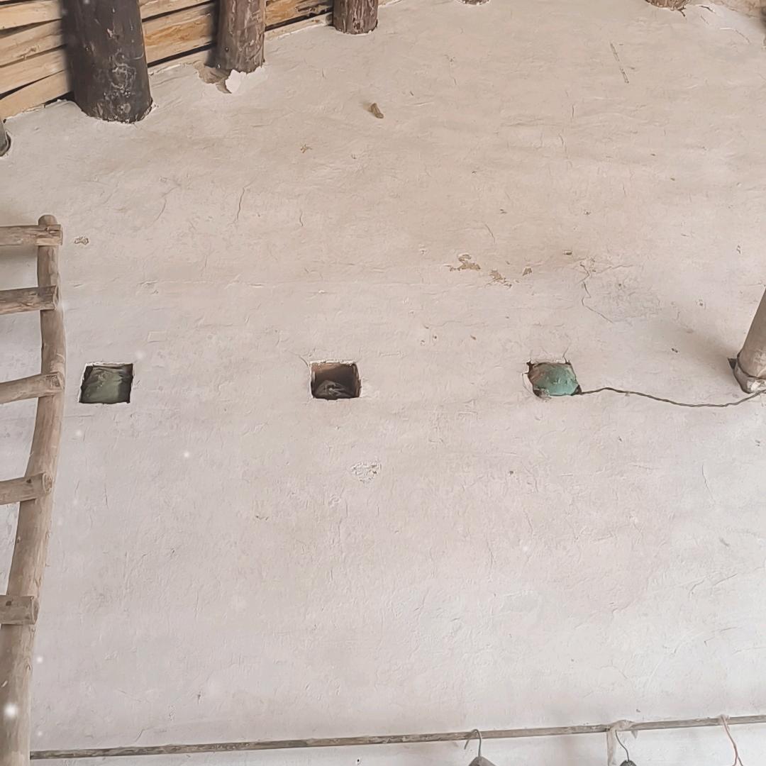 臻翊瑾翀彧讋瑑昶婳蕤頔