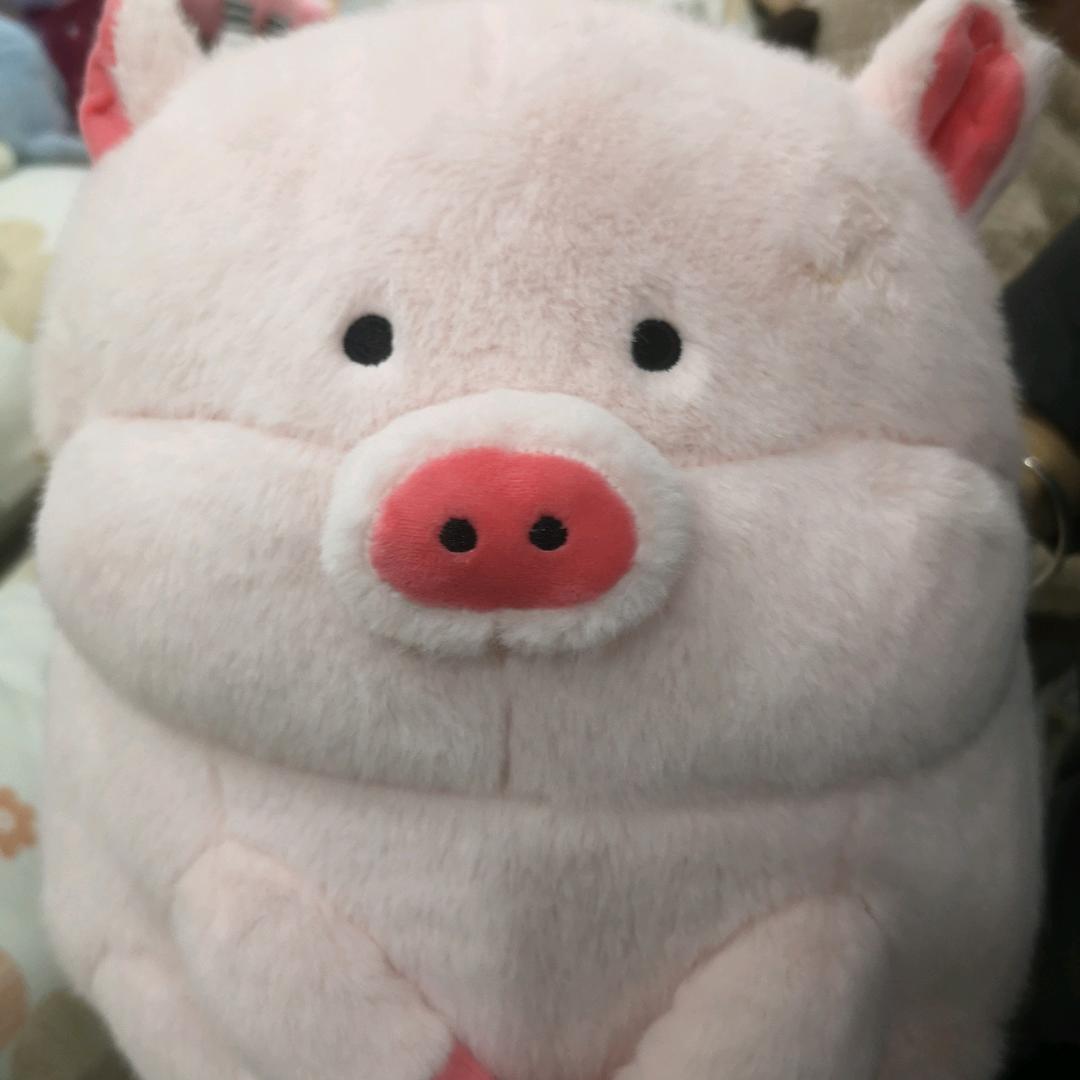 曲奇饼