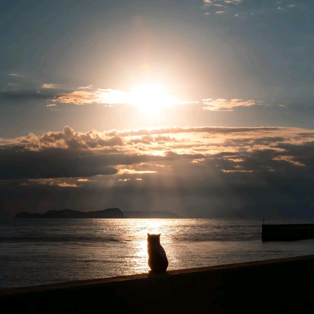 流年
