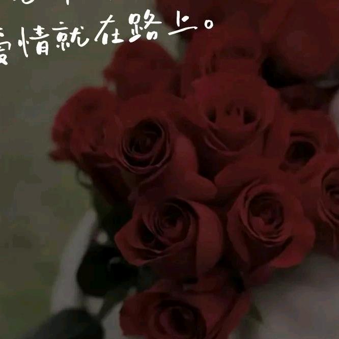 阿宝